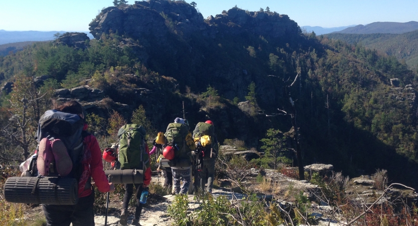 A group of backpackers hike away from the camera in a mountainous environment. 